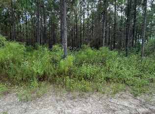 SE Cephas Liston Rd, Branford, FL 32008