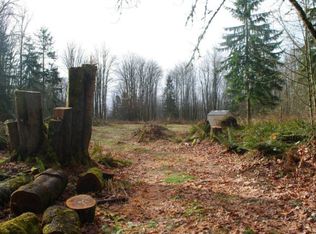 25707 NE 47th Pl, Redmond, WA 98053