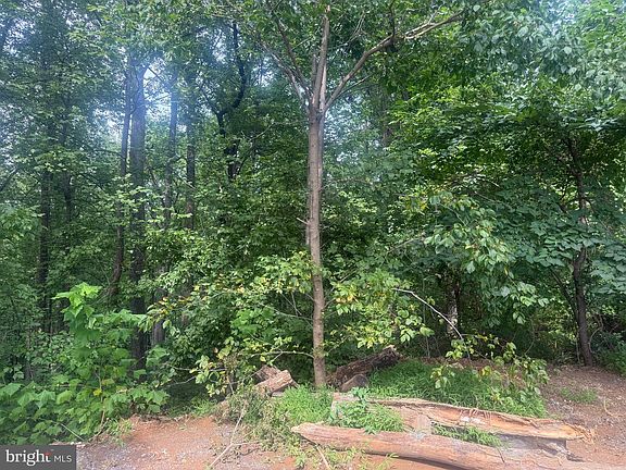 4th image of LOT 62 Riley Ct