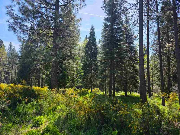 LOT 77 Panther Meadow Dr, McCloud, CA 96057