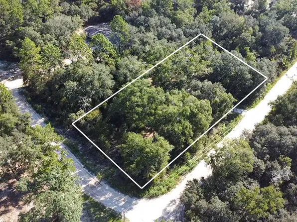 Lot 1 NE 85th St, Bronson, FL 32621