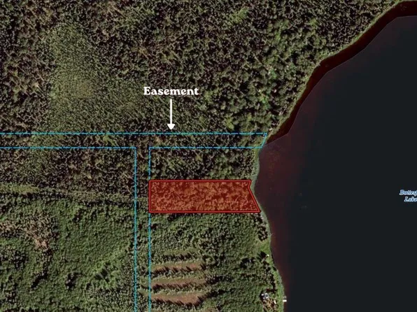 L12 E Butterfly Lake, Willow, AK 99688