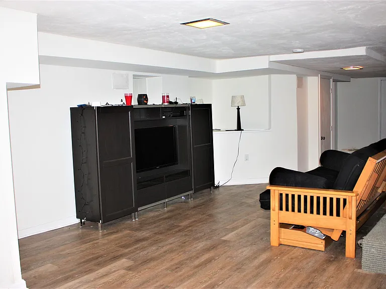 Basement Entertainment Room