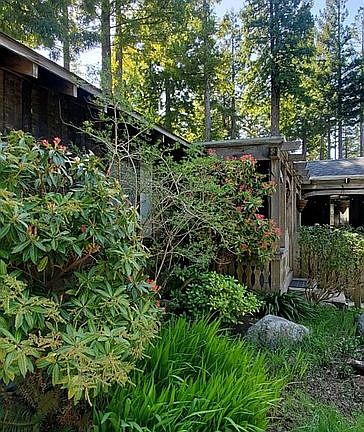 View of front garden