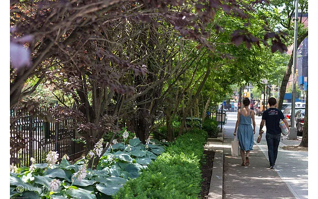 Rented by Douglas Elliman | media 10