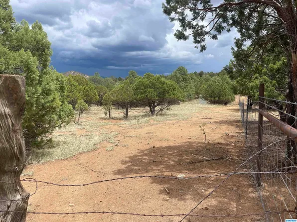 15 Xx Hwy, Pinos Altos, NM 88053
