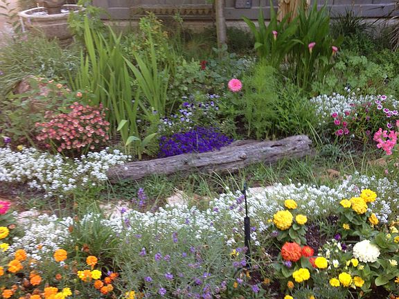 Front garden walkway