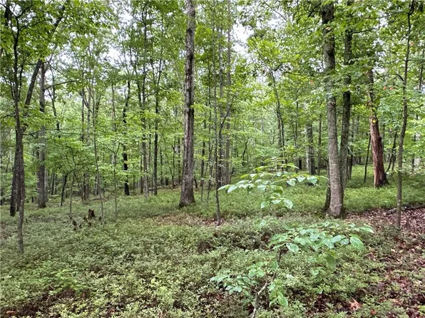 0 Jackson Chapel Rd SW, Cave Spring, GA 30124