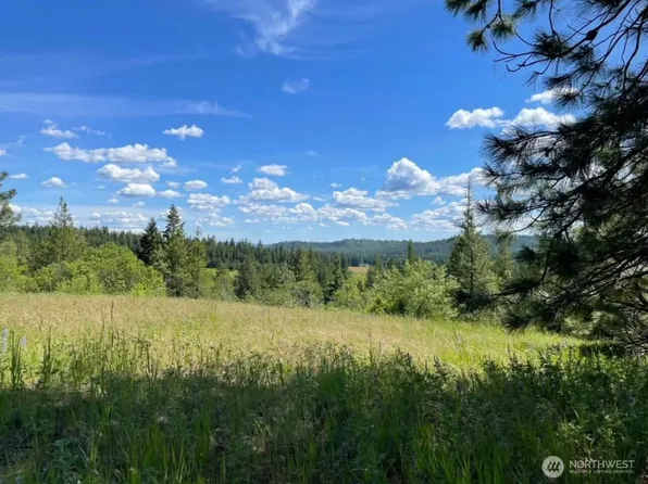 4401 Whittier Road, Clayton, WA 99110
