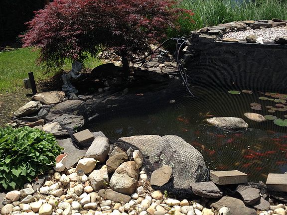 Fish pond