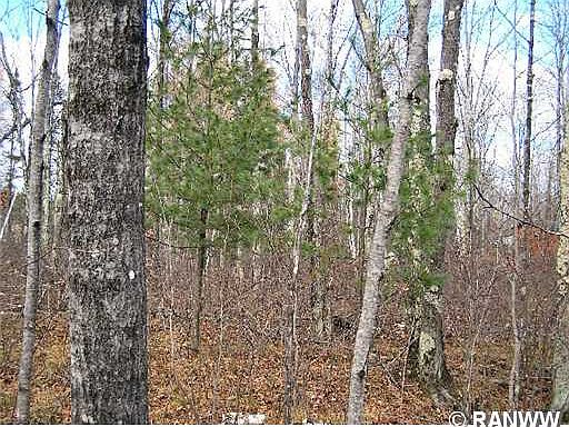 1st image of Lot 16 W Hemlock Haven Road
