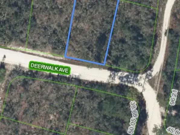 284 Deerwalk Ave #13, Lake Placid, FL 33852