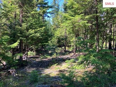 Nna Toad Rd, Priest River, ID, 83856