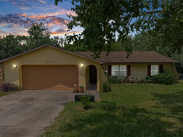 18719 Alexson St, Spring Hill, FL 34610