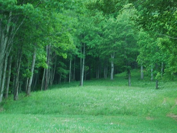 Meadow above the house