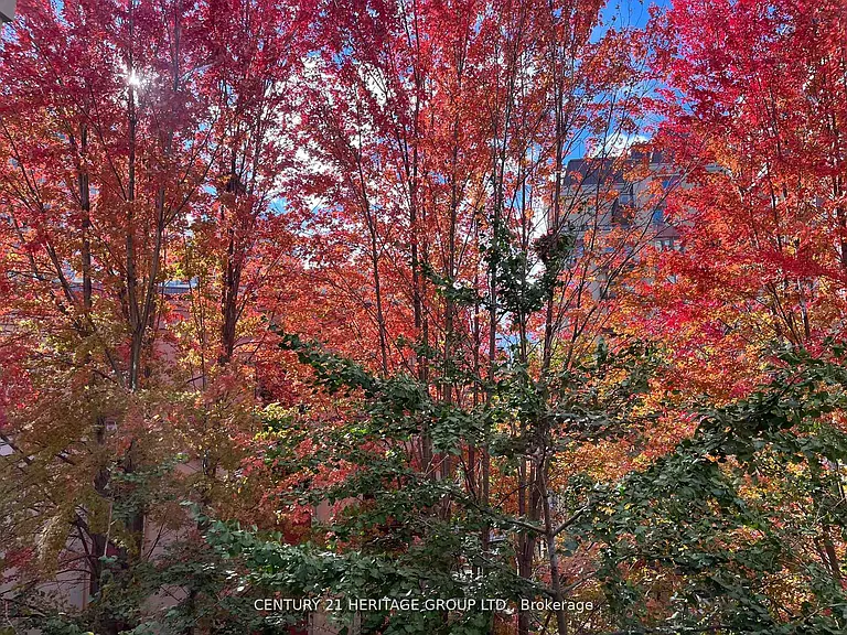 23 Rean Dr #309 — Photo 29