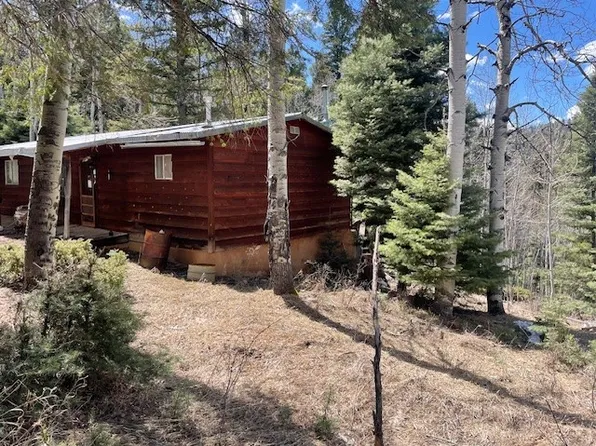 321 Iron Gate Rd, Tererro, NM 87573