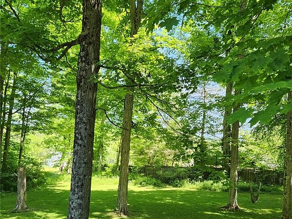 5th image of 6 Knoll Tree Rd