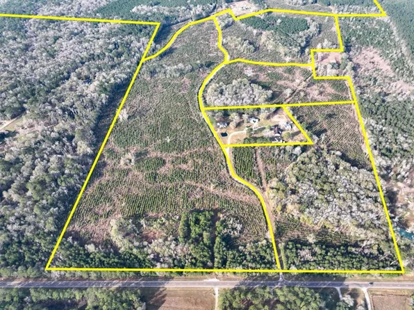 Tall Cotton Rd, Saratoga, TX 77585