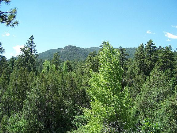 2nd image of 7655 Seminole Dr