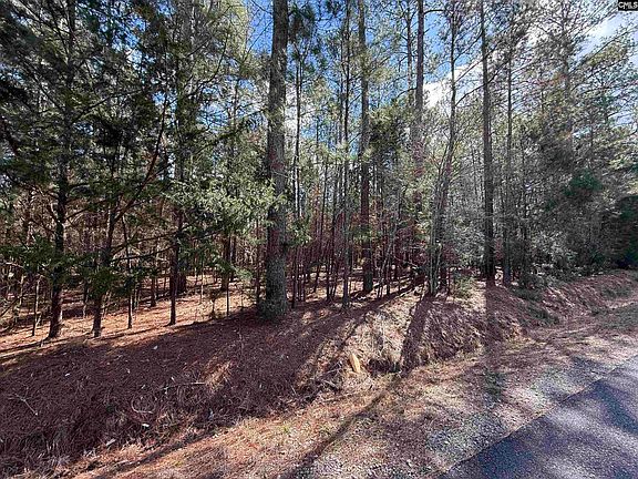 2nd image of 0 Ruby Riser Rd #110