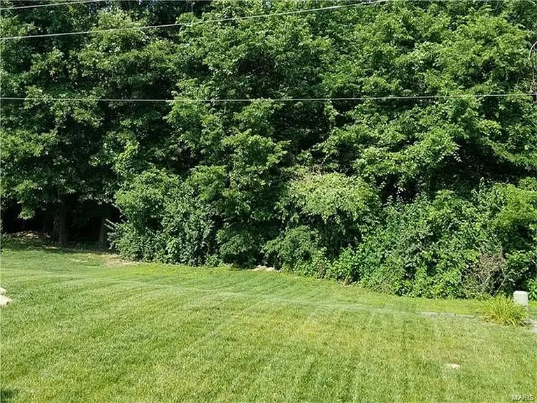 234 Spring Borough Dr — Photo 10