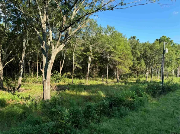 TRACT 1 County Road 479, Lindale, TX 75771