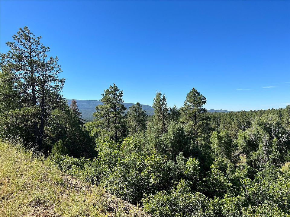 0 Badger Rd Chama, NM, 87520 Apartments for Rent Zillow