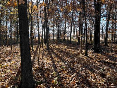 0 Pheasant Rd, Xenia, IL, 62899