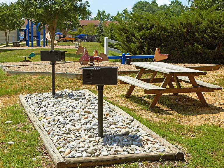 Picnic and Grill Area