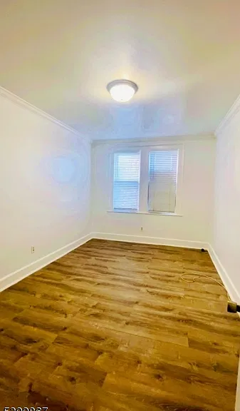 665 Bloomfield Ave #1 — Photo 9