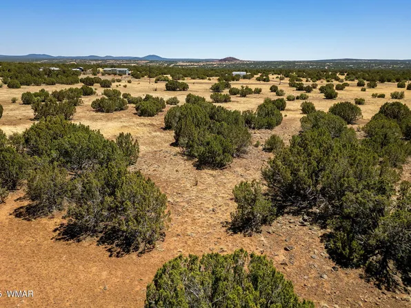 8770 Supancheck Rd, Show Low, AZ 85901