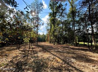 2 Pleasant Hill Rd LOT 2, Ten Mile, TN 37880