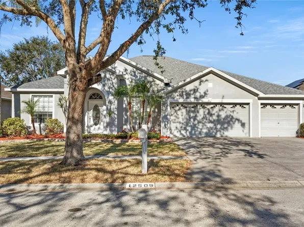 12509 Safari Ln, Riverview, FL 33579