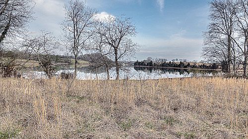 1st image of Collie Cove Ct