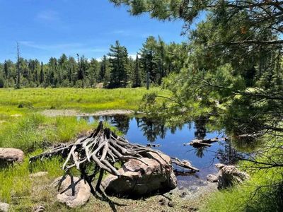 Xxxx Mud Creek Rd, Ely, MN, 55731
