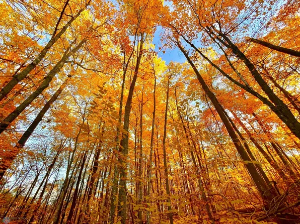 Xxx Oak Ln, Deerwood, MN 56444