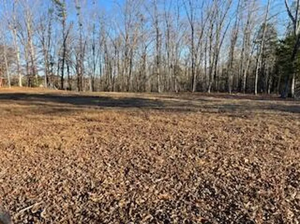 445 Scenic Lakeview Dr, Spring City, TN 37381