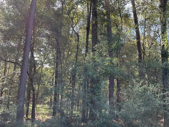 7 Cedar Spgs, Trinity, TX 75862