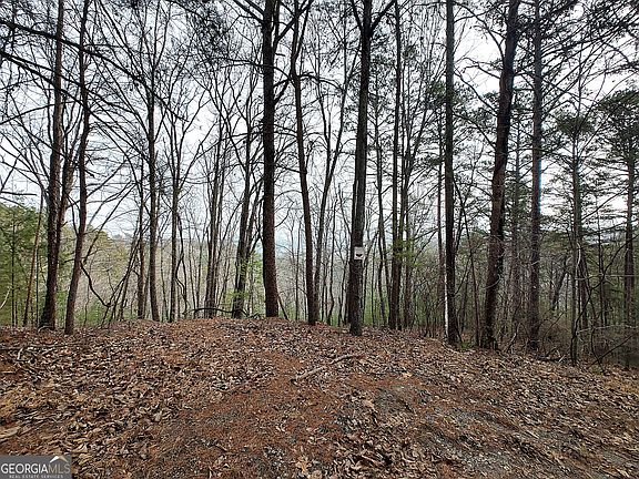 5th image of 1036 Astro Ct NE