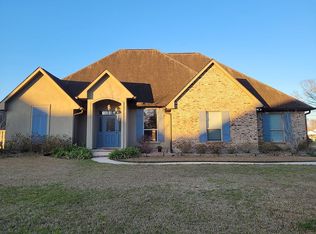 11048 Toria Ln, Saint Amant, LA 70774