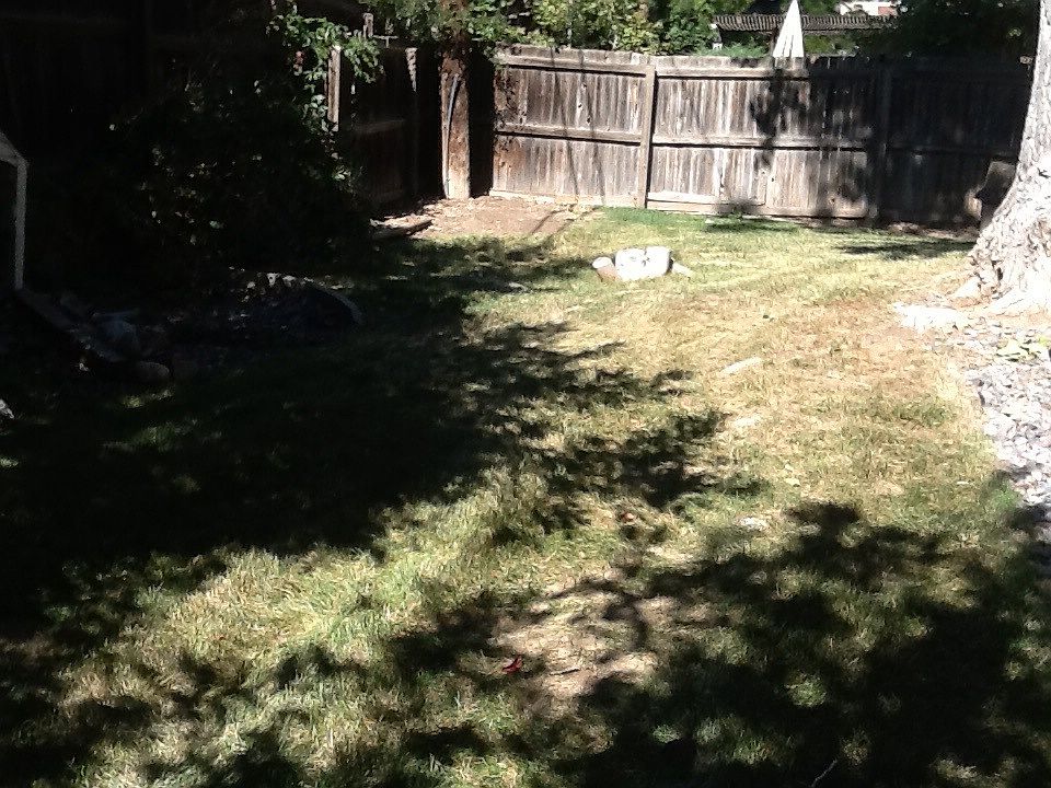 Back yard
