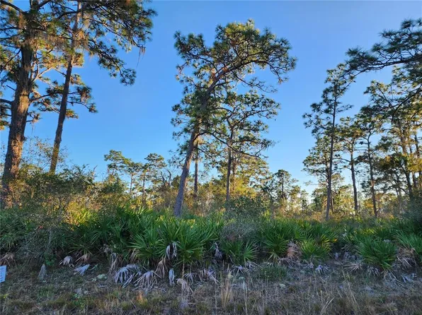 Camellia Dr #15, Indian Lake Estates, FL 33855