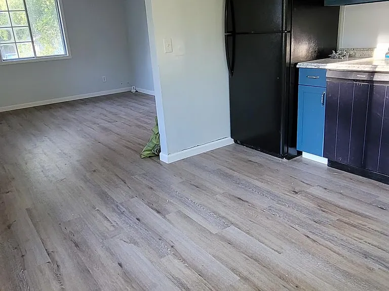 425 Carrier St — Photo 3