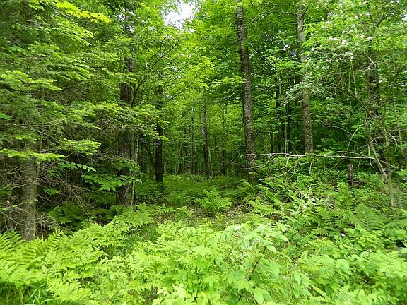 3rd image of On Price Dam Road