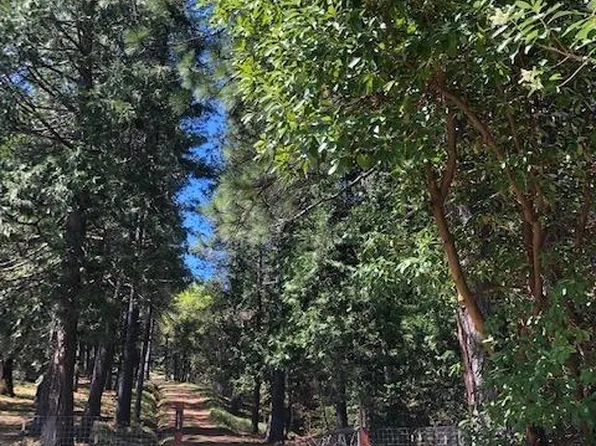 694 Deardorff Rd, Glencoe, CA 95232