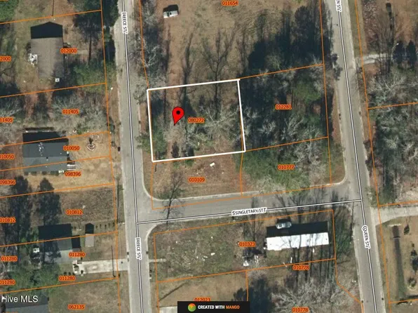 Reece St Lot 57-59, Tabor City, NC 28463