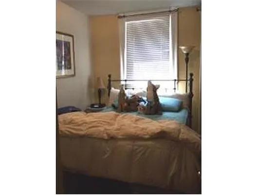 Rented by Douglas Elliman | media 3