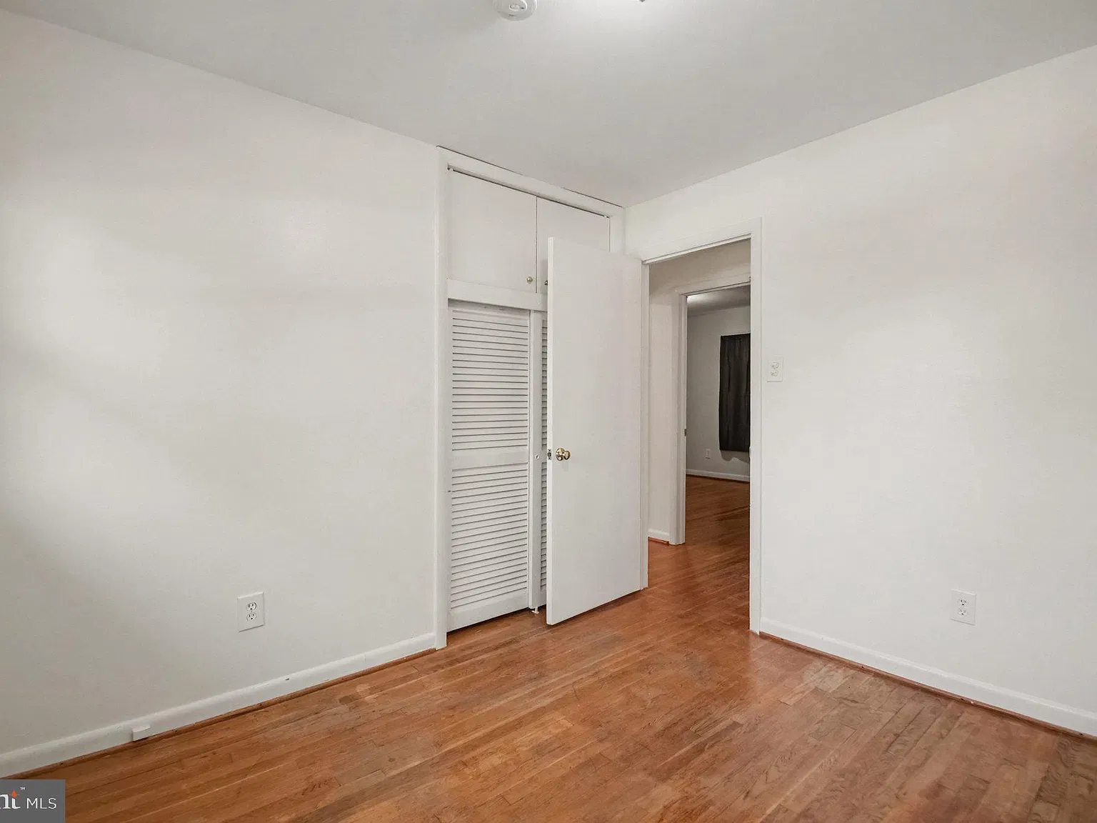 3 bed, 2.0 bath, 1559 sqft, $4,000 — Photo 2