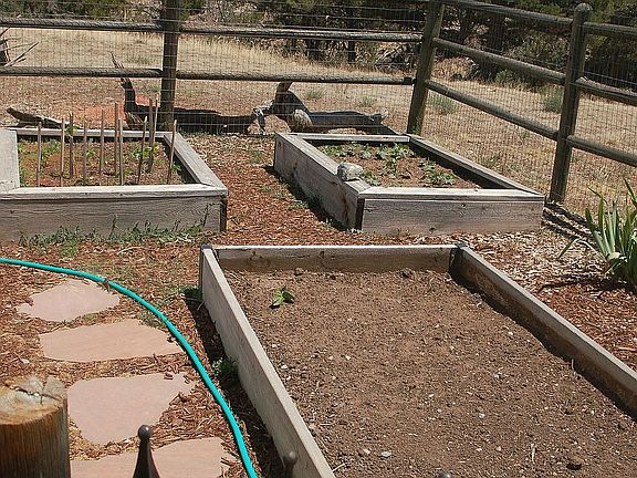 raised garden beds